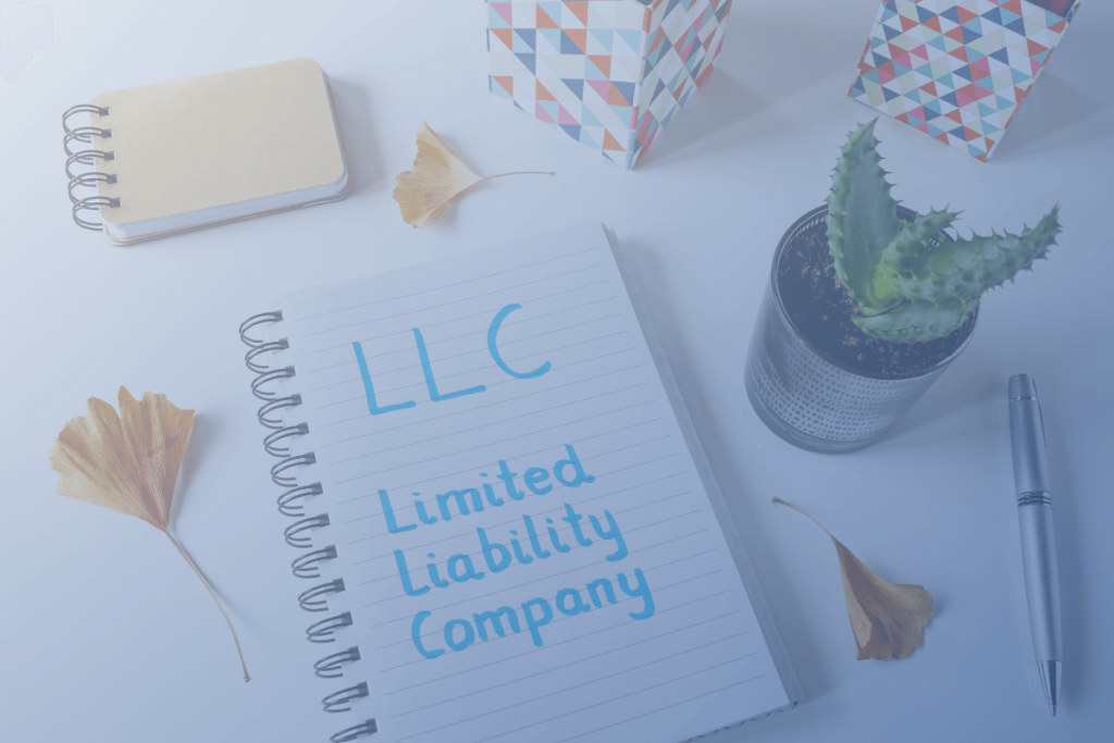 Understanding LLCs and Series LLCs in Texas